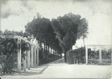 Bari Villa Specchio cartolina in b/n viaggiata nel 1957