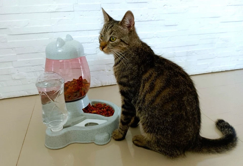 QLS Wasser- und Futterspender 2in1 für Katzen Hunde 2,2L Trockennahrung Grau - Bild 4 von 4