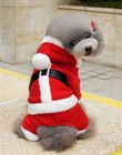 Foto 11 di 55