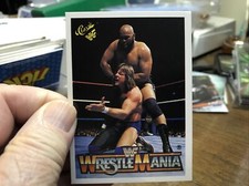 Titan Sports WF Classic Wrestle Mania 1990 # 127