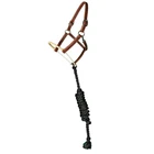 Professional's Choice Rawhide Nose Leather Halter with Lead