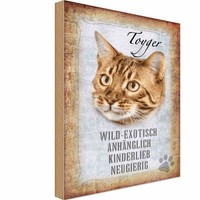 Holzschild 18X12 Cm Toyger Katze Tier Haustier Deko Geschenk Holz Schild