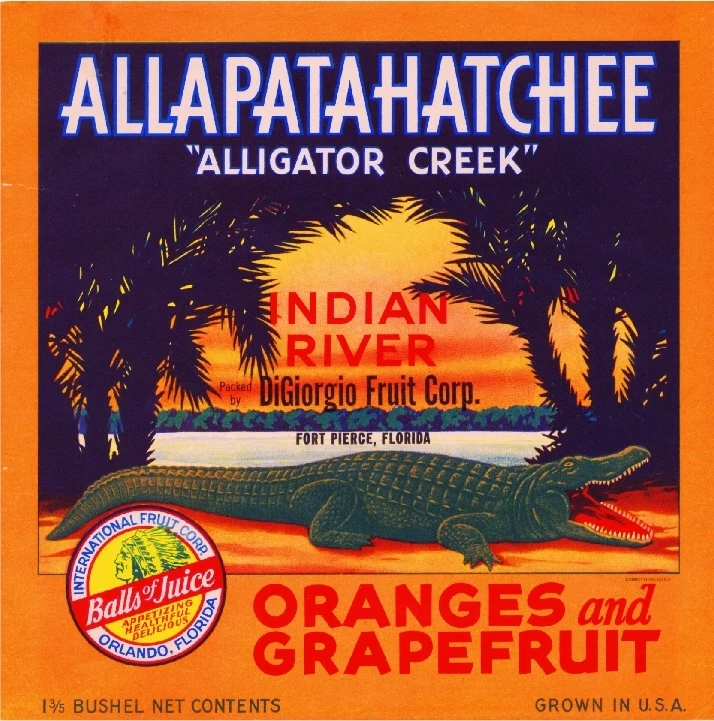 Fort Ft. Pierce Florida Allapatahatchee Alligator Orange Fruit Crate Label Print