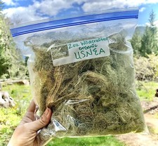2oz Usnea Gallon Bag medicinal herbal First Aid Kit Antimicrobial Inflammation