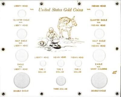 Capital Holder Case For Gold Type Set 12 Slot Holes Illustration Collector Gift