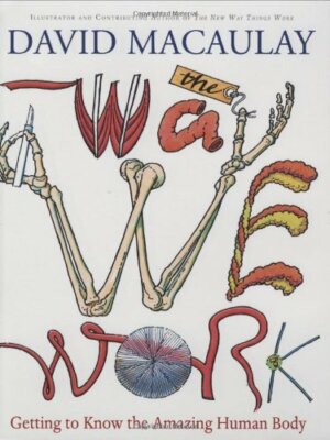 The Way We Work by David Macaulay