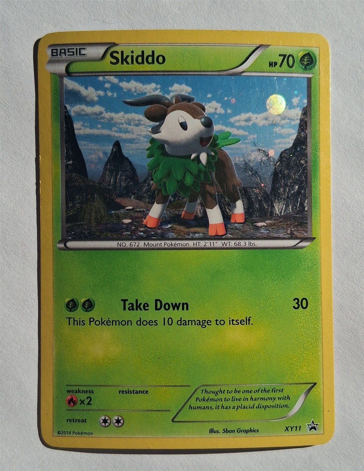 Pokemon - Skiddo - X&Y XY Promo XY11 - Holo - LP