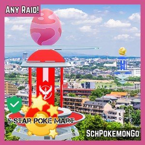 Details About Pokemon Go Raids Alolan Marowak Galarian Wheezing Togetic Shiny Chance