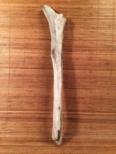 Beautiful 18" DRIFTWOOD Art Terrarium Taxidermy Aquarium Beach Reptile DECOR