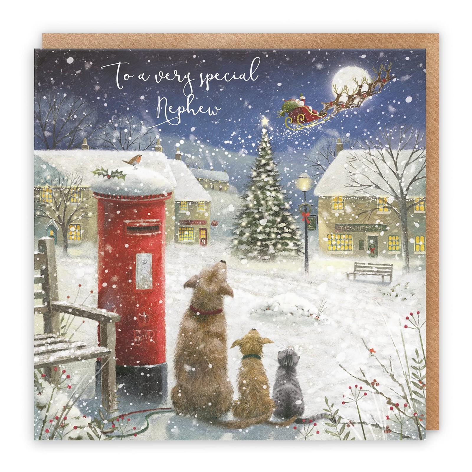 Nephew Magical Christmas Card Milo's Gallery