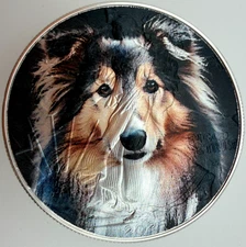 Shetland Sheepdog Sheltie dog  American Silver Eagle 1oz .999 Silver Dollar Coin