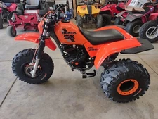 1985-87 Honda atc 250sx Heel Nerf Bars