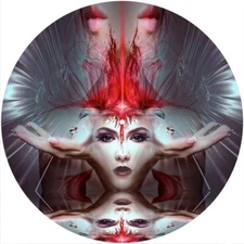 Slipmat Slip Mat Pad for any 12" Turntable LP DJ Record Player FACE IN THE PALM