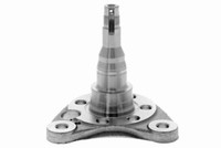 Vaico V10-1392 Achszapfen, AchsköRper FüR Seat VW