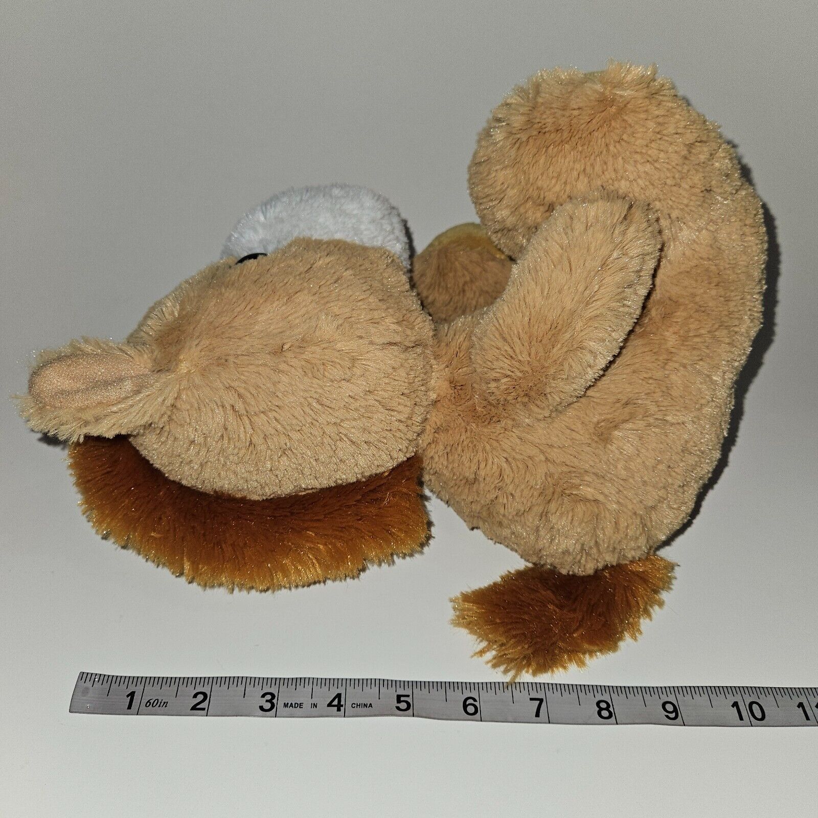 Picture 10 of 10