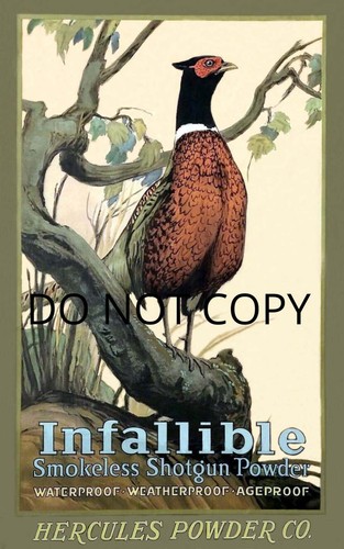 ANTIQUE REPRO PHOTO PRINT INFALLIBLE HERCULES POWDER ADVERTISEMENT PHEASANT HUNT