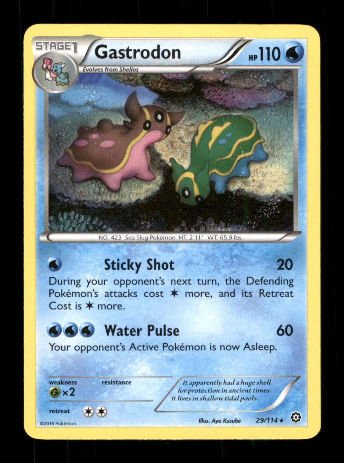 Gastrodon 29/114 Non-Holo Nintendo  Pokemon Trading Card TCG 