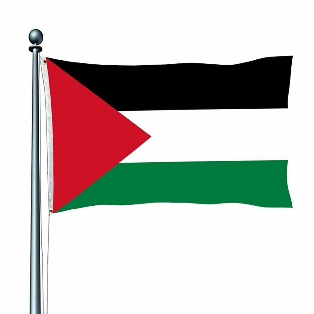 Palestine Flag - Large 5 x 3 