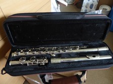 Collectors Silver colour Flute Eastar with carry case
