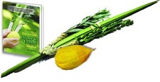 Complete Lulav Etrog Set Sukkot Arba Minim Fresh Etrog Lulav Guide Protective