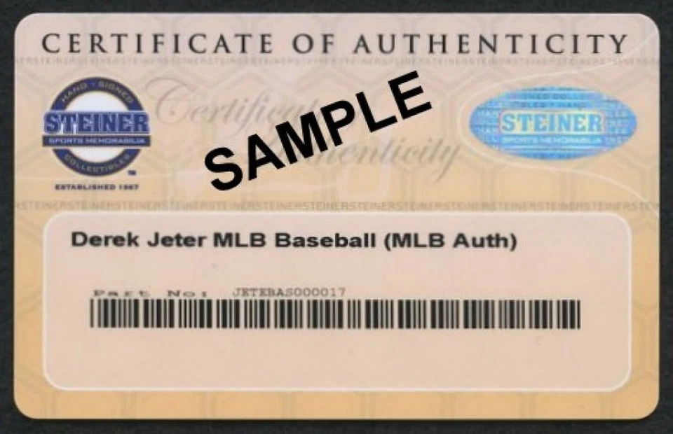 Foto 8x10 firmada por Lauren Holiday Copa Mundial 2015 (certificado de autenticidad Steiner y holograma SM) Foto 2 de 2