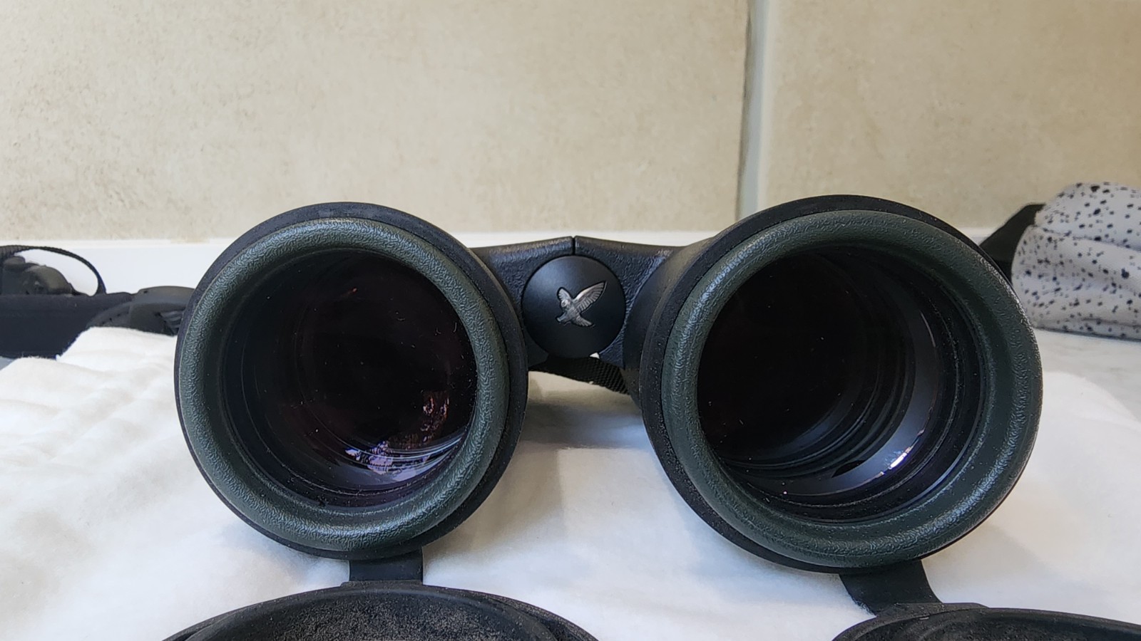 Swarovski SLC 10x42 HD Binoculars