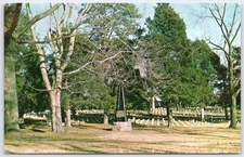 Vintage Shiloh National Cemetery Postcard Tennessee Tichnor Bros