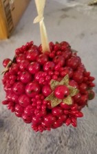 Holly Berries Mistletoe