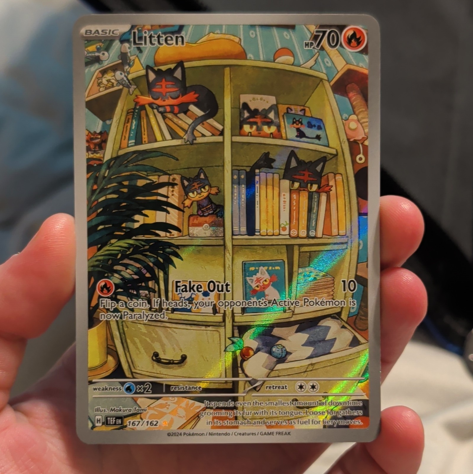 The Pokémon Company Litten 167/162 SV05 Temporal Forces Illus Rare Holo EN 2024