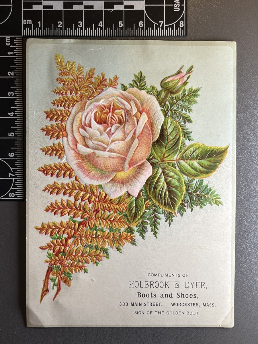 Antique Victorian Trade Card Advertising - Holbrook & Dyer