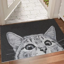 Cat Door Mat Outdoor Entrance, Durable Welcome Mat, Mud Absorbent Doormat, Indoo
