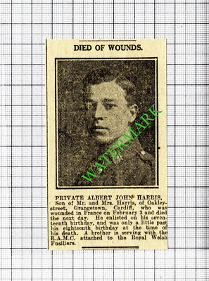 Private Albert John Harris Grangetown Cardiff WW1  - 1916 Small Cutting