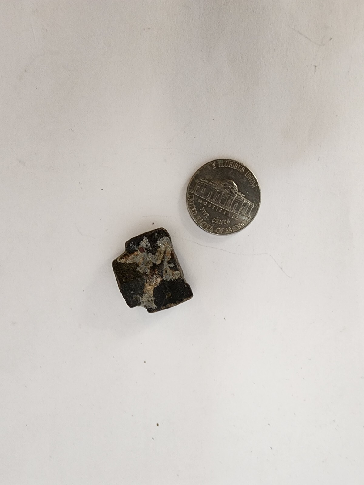 Picture 4 of 11