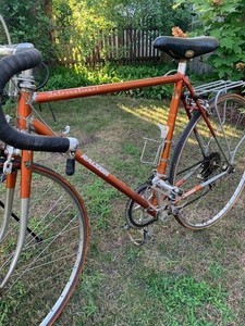 raleigh international bike