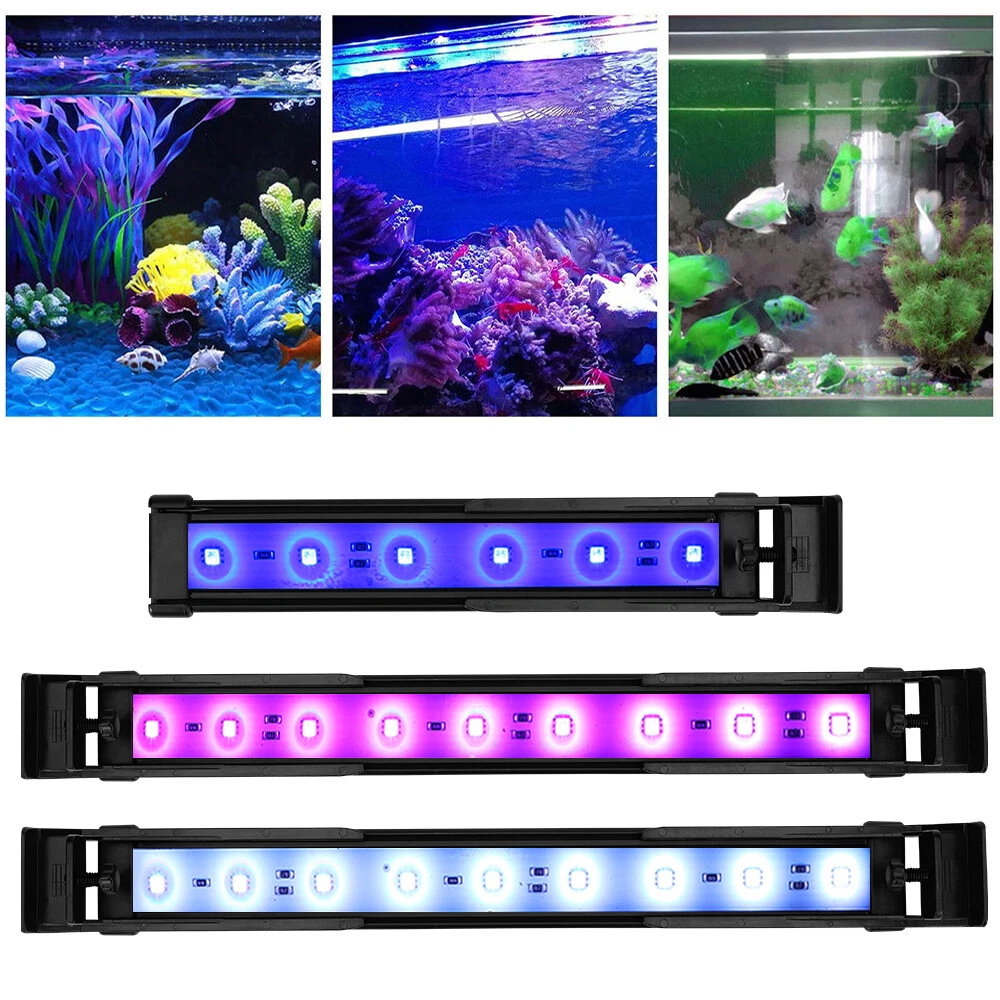 Fish tank christmas lights cheap
