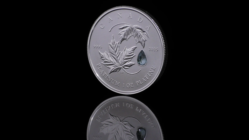 2025 Canada $300 Maple Leaf Forever - Pure Platinum Coin with Gemstone - Video 1 of 1