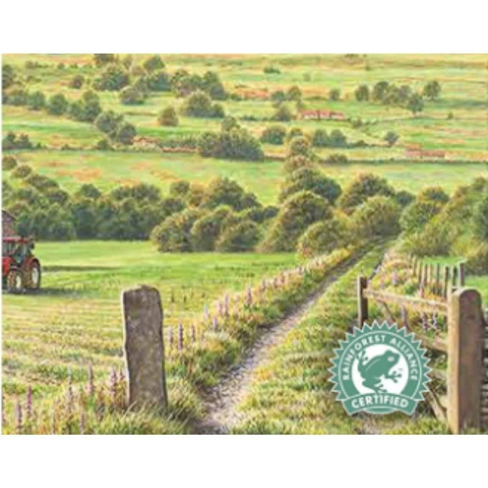 Taylors of Harrogate Yorkshire Tea 656g - Image 2 of 4