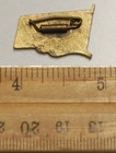 Mongolian CIVIL AVIATION Badge MIAT Airlines Pilot Communist Mongolia Flag Wings — photo 2