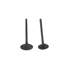 Inlet and Exhaust Valves - Kayo AU200