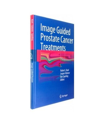 Image Guided Prostate Cancer Treatments