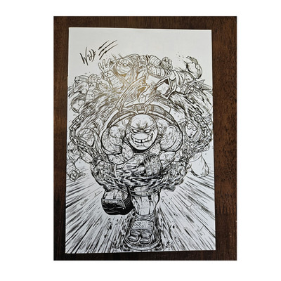 IDW SIGNED Teenage Mutant Ninja Turtles #2 Original Art Maria Wolf MegaCon COA