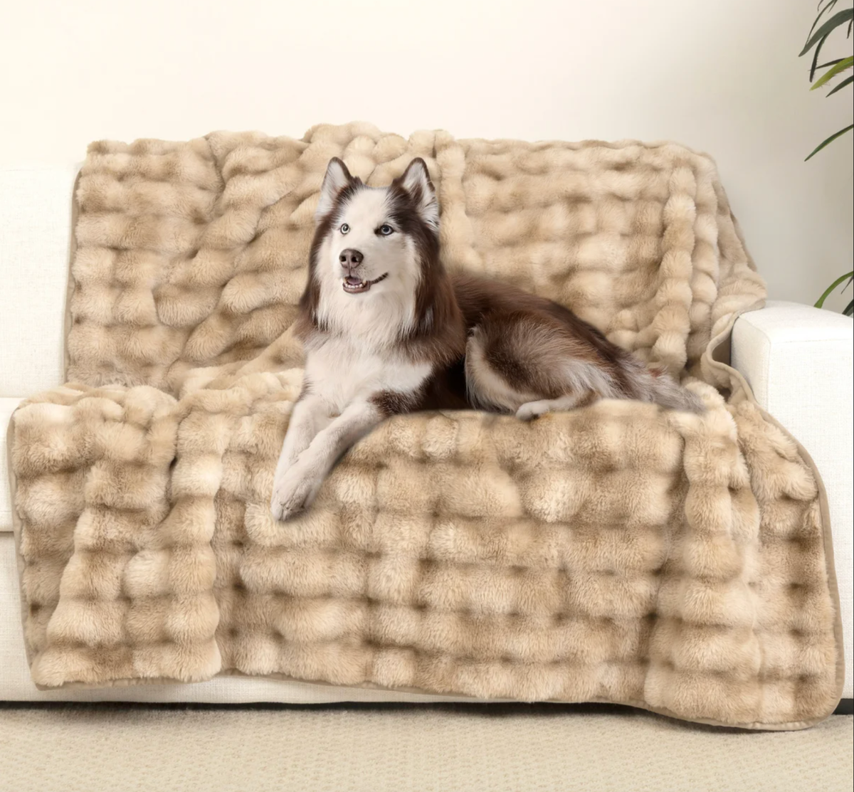Brentwood Oversize Pet Blanket and Furniture Protector, Bubble Fur
