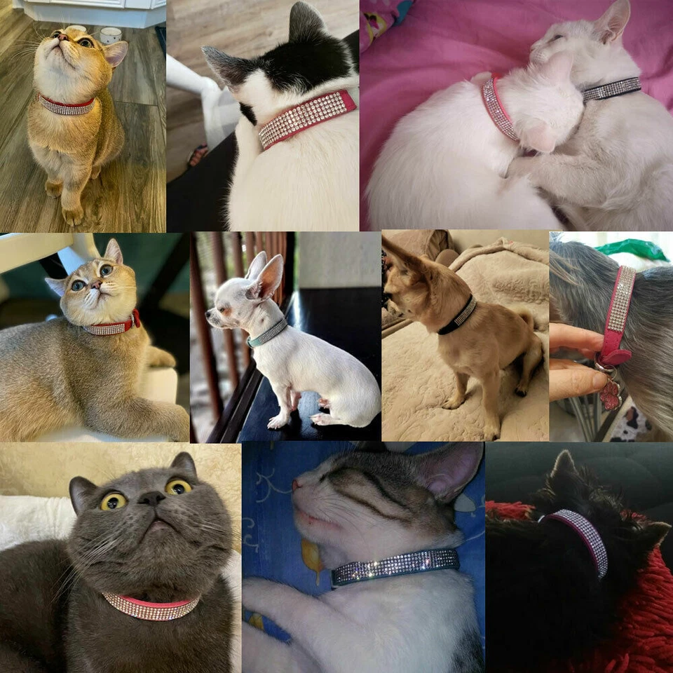 Bling Rhinestone Dog Collar Diamante Crystal Pet Necklace Cat Puppy Collar XS-XL - Image 2 of 4