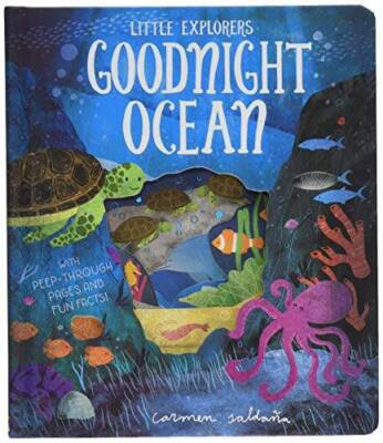 Goodnight Ocean (Little Explorers) - Hardcover By Becky Davies - GOOD