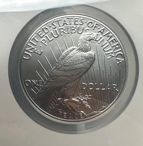 Dollaro della pace 1923 e 2023 2 pezzi NGC MS65/MS70 100 anni di pace dollari - Foto 6 di 6