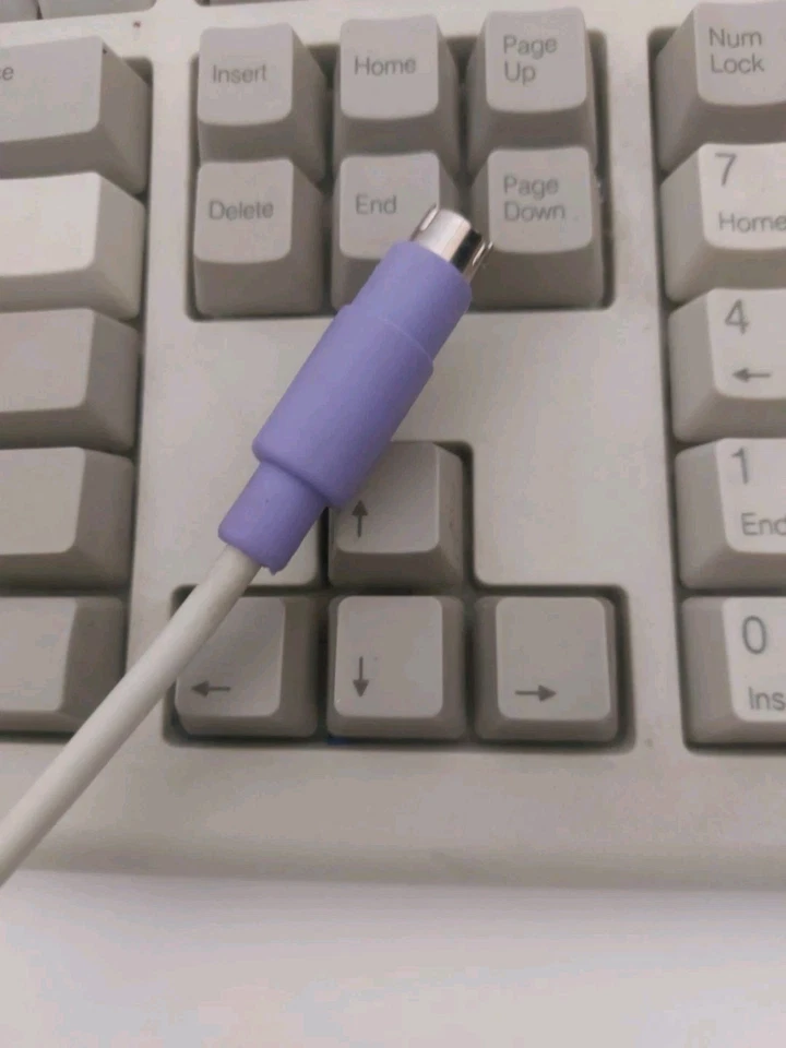 Dell QuietKey Keyboard RT7D5JTW DPN 463CD PS/2 Vintage Beige - Image 3 of 4