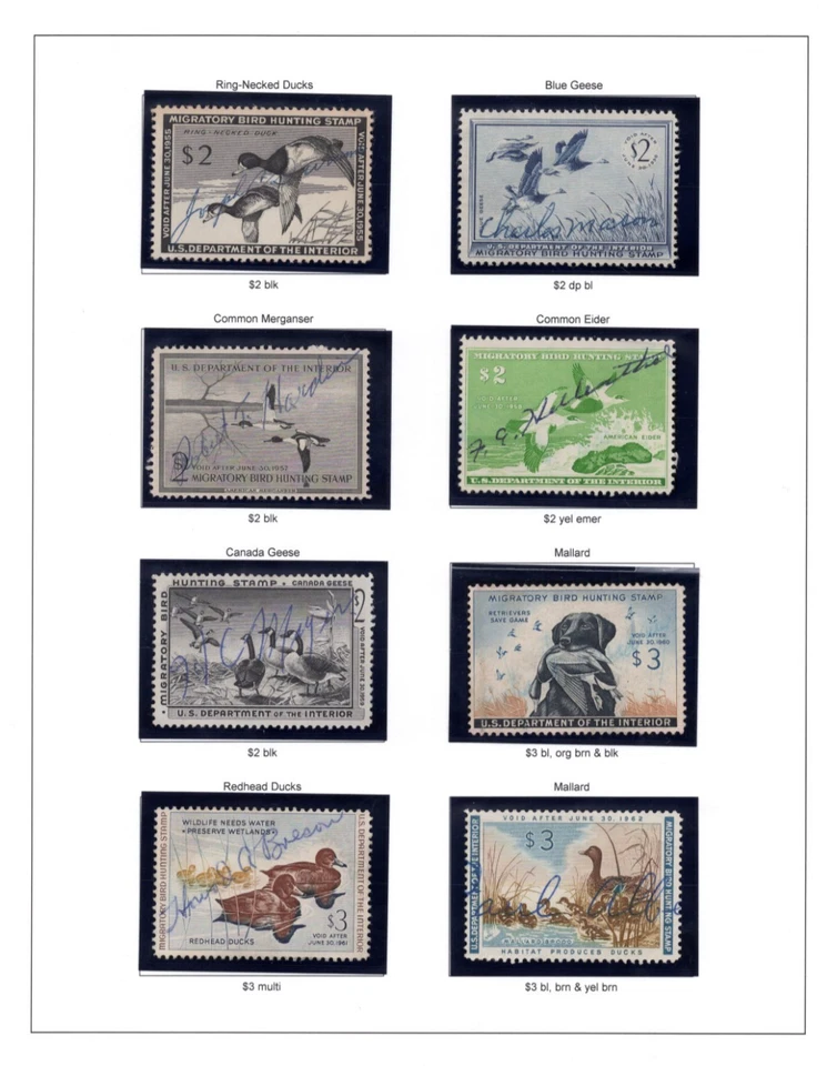 US 1935-1978 COLLECTION OF 43 DUCK HUNTING STAMPS, MOSTLY USED, SOME UNSIGNED - Image 4 of 4
