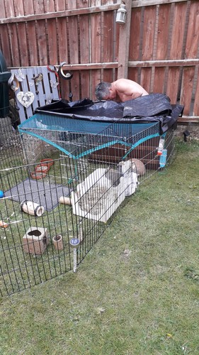 VivaPet Outdoor Octagon Rabbit Run Cage - VIVA-008-55 for sale online ...