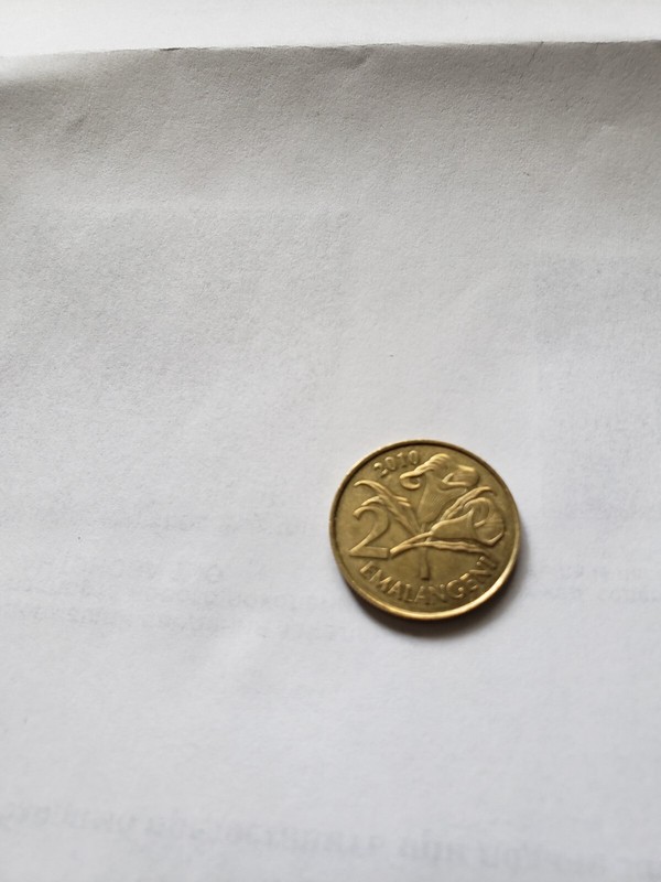 Old Swaziland Coin - 2010 2 Cents - Circulated,  UNC