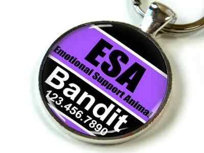 Service dog Emotional Support Animal purple black CUSTOM pet dog cat ID 